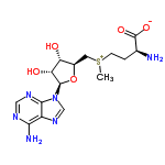 S-Adenosyl-L-methionine | C15H22N6O5S | ChemSpider