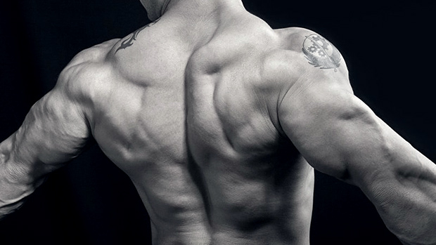 5 Back Training Myths You Probably Believe | T NATION