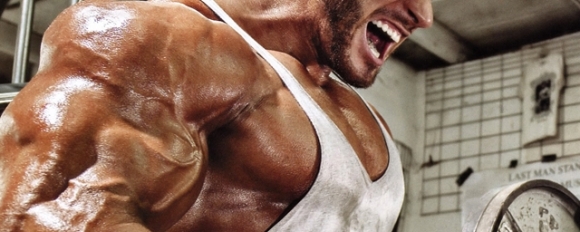 Eight tips for maximum muscle mass