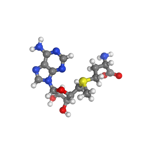 AdoMet | NIH 3D Print Exchange