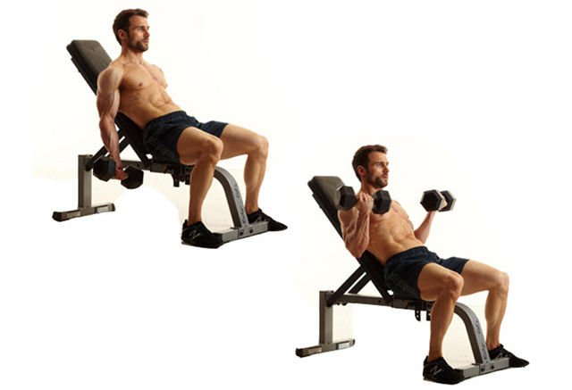 Mastering The Incline Dumbbell Curl: Guide, Form, Flaws, Set Up &amp; Execution - GymGuider.com